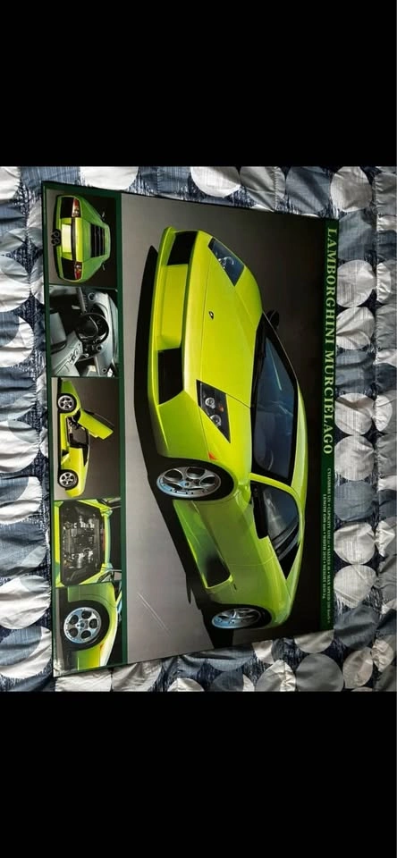 Lamborghini Murcielago & Cobra Car Pictures - photo 3