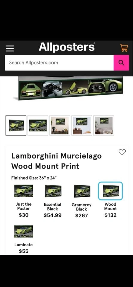 Lamborghini Murcielago & Cobra Car Pictures - photo 5