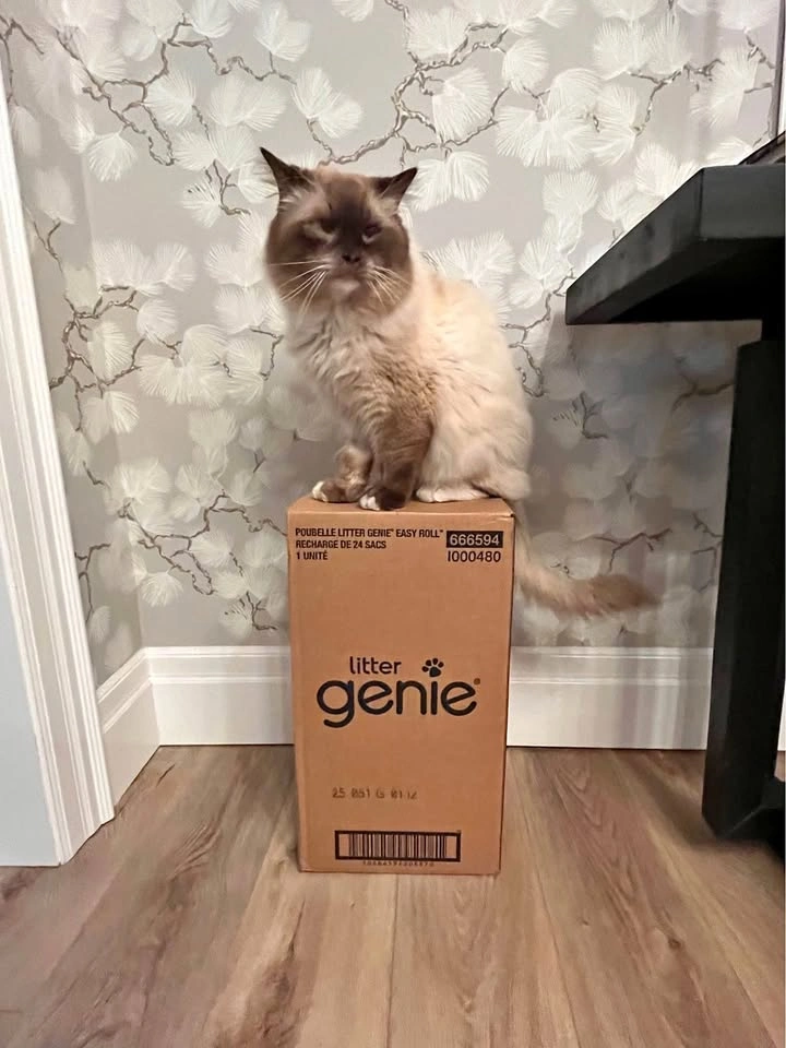 UNBOXED: Litter Genie Easy Roll Pail Starter Kit