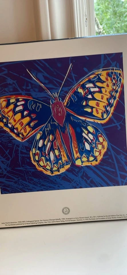 Vintage 1992 Andy Warhol Silverspot Butterfly Poster - photo 2