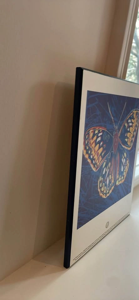 Vintage 1992 Andy Warhol Silverspot Butterfly Poster - photo 5