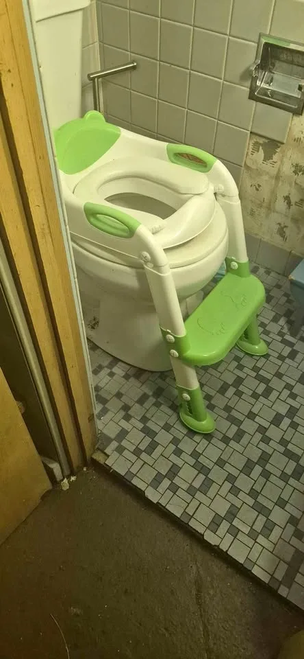 Potty training seat