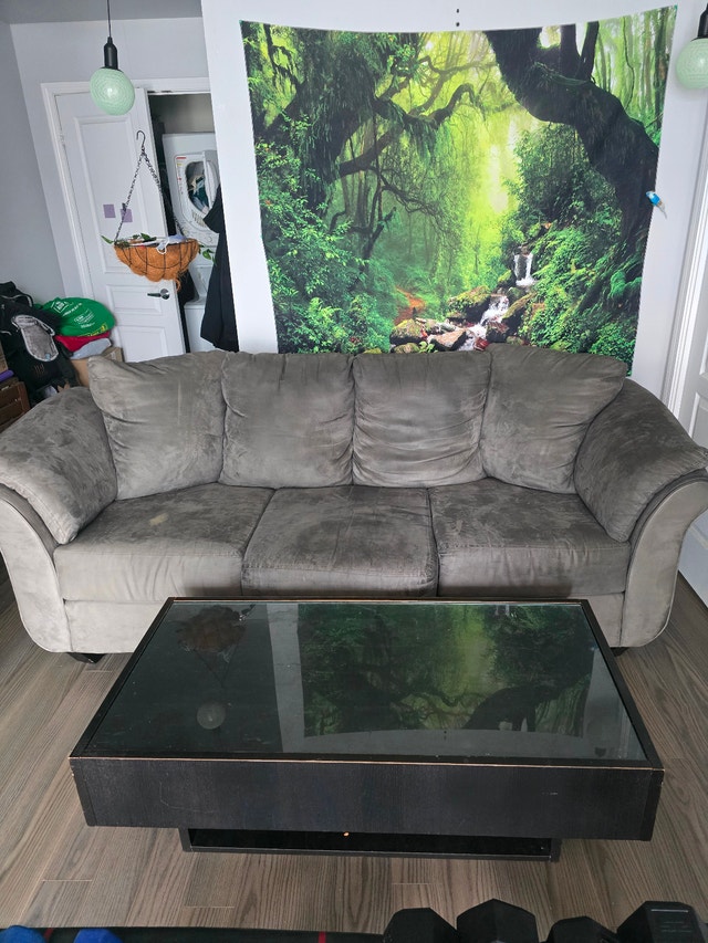 Grey Sofa and Coffee Table Set