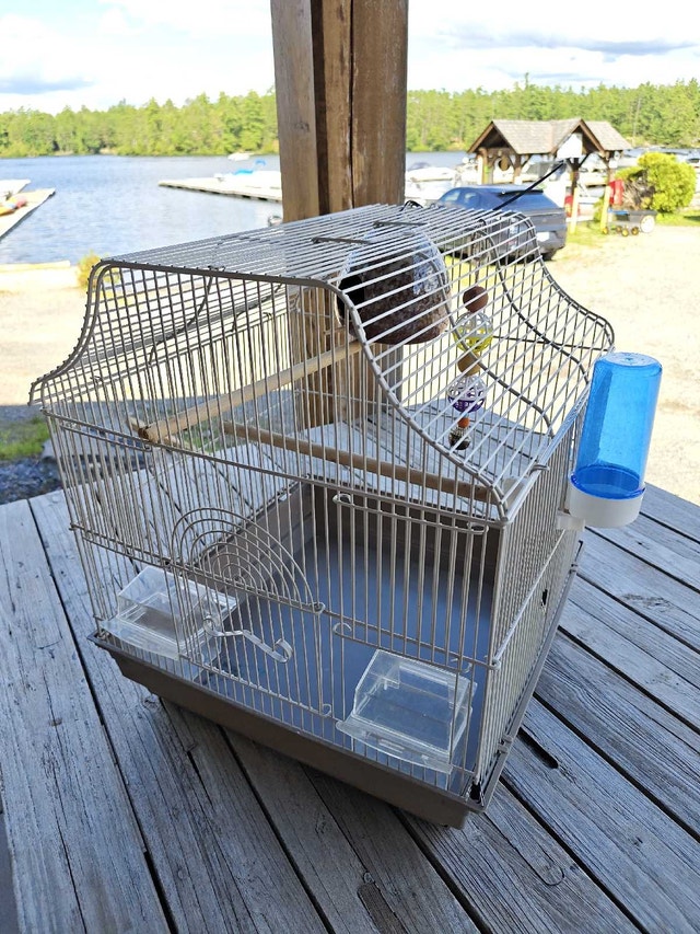 Bird Cage with Accessories - photo 2