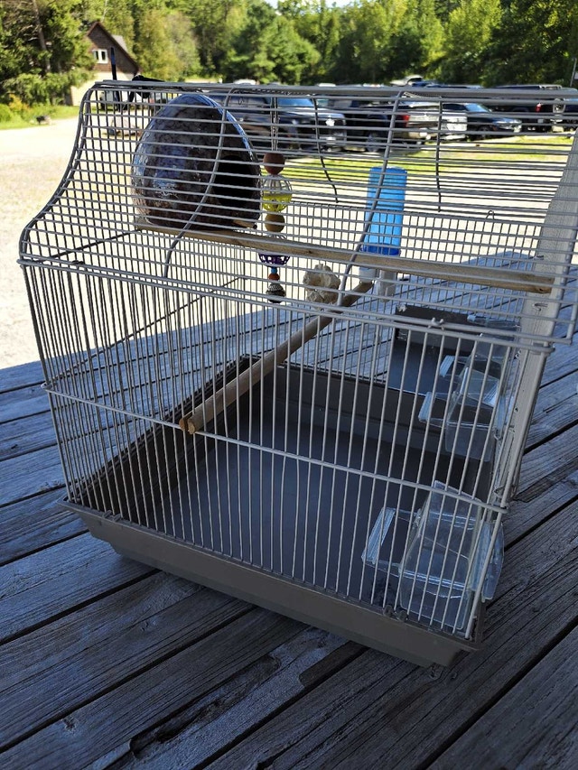 Bird Cage with Accessories - photo 3