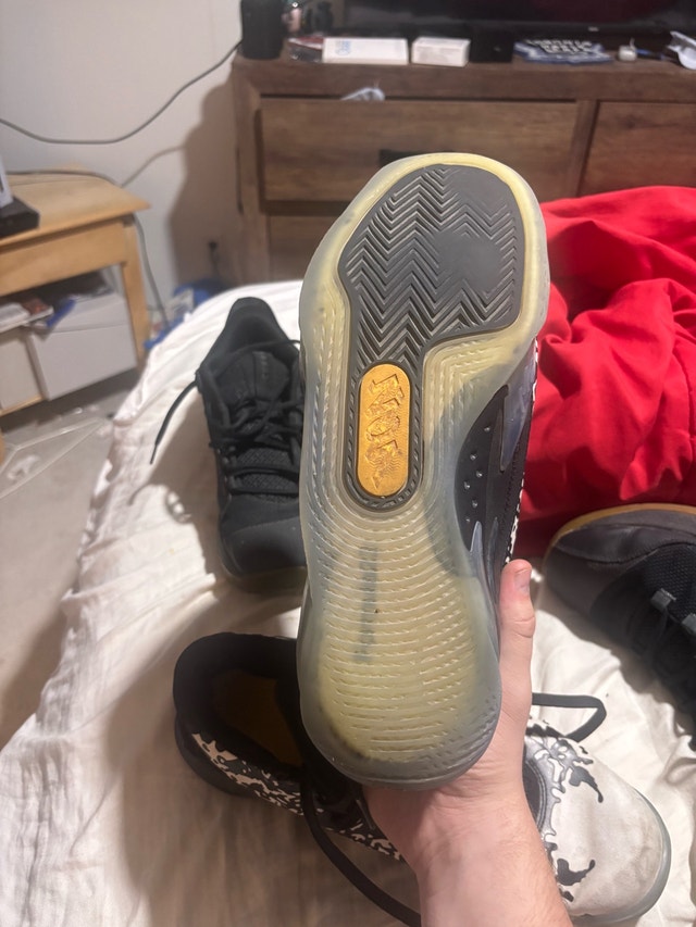 Zion Williamson basketball shoes