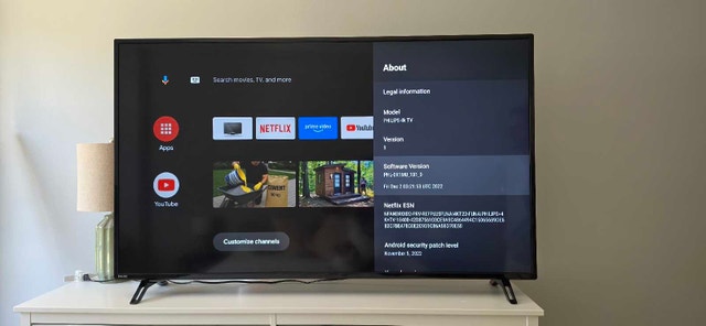 Philips 65PFL5766/F6 TV and TCL soundbar