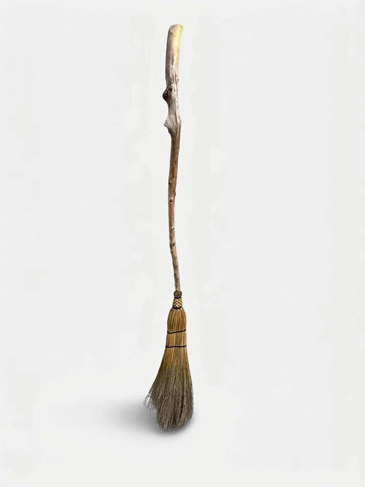 Witches broom 🧹 one of a kind