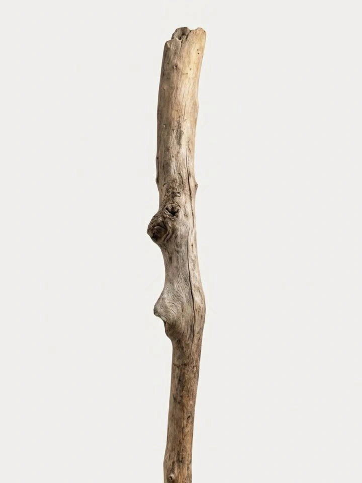 Witches broom 🧹 one of a kind - photo 2