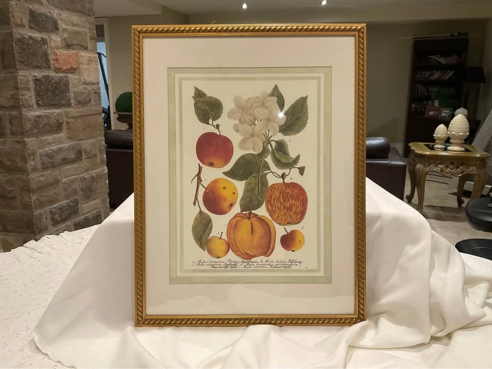 Print Vintage Botanical 1990’s - photo 3
