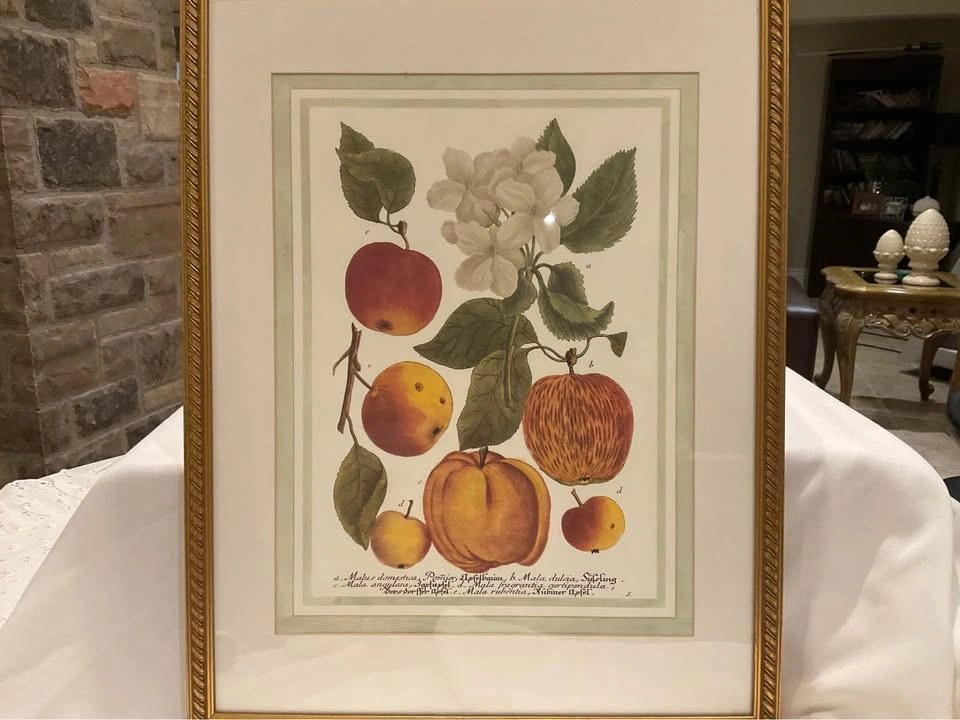 Print Vintage Botanical 1990’s - photo 4