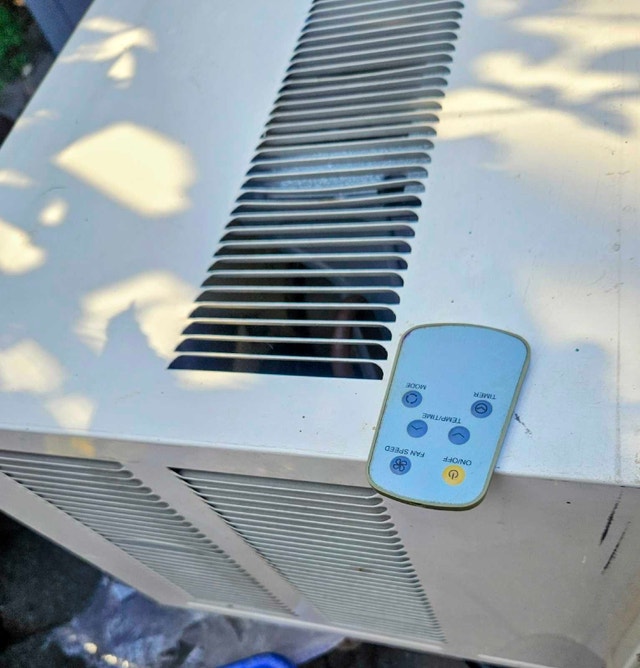 Fedders Window Air Conditioner, 12,000 BTU