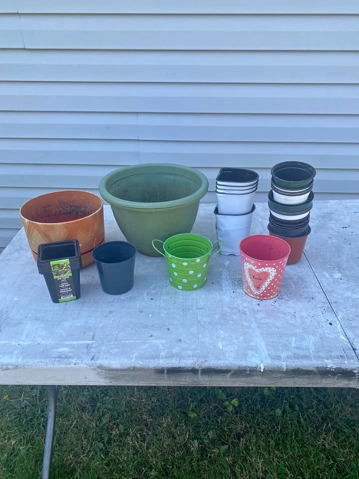 Plant Pots