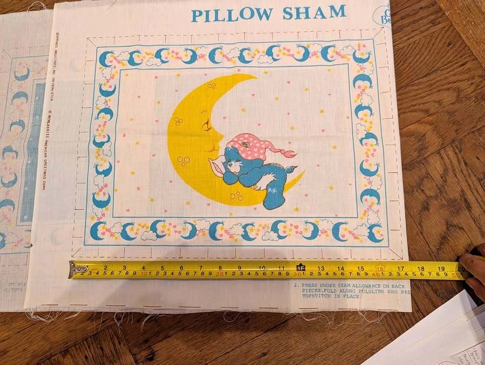 Vintage Care Bears and Annie Fabric Pillow Panels
