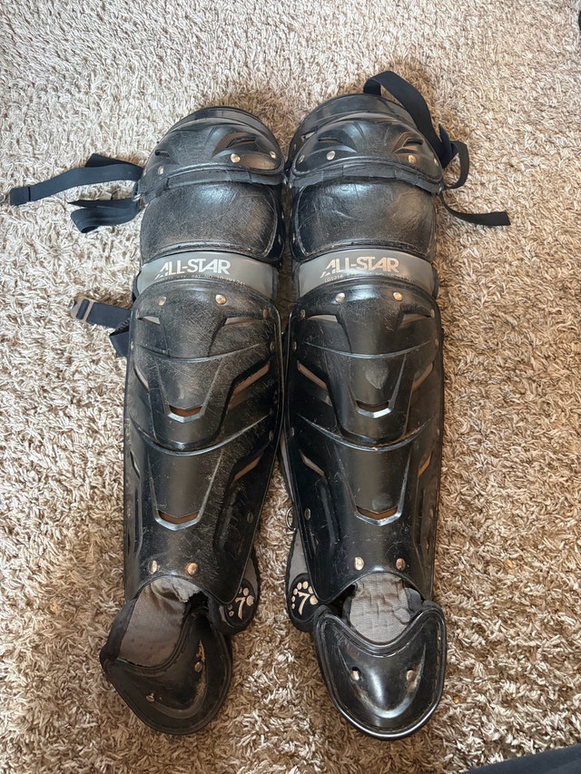 Allstar Leg Guards