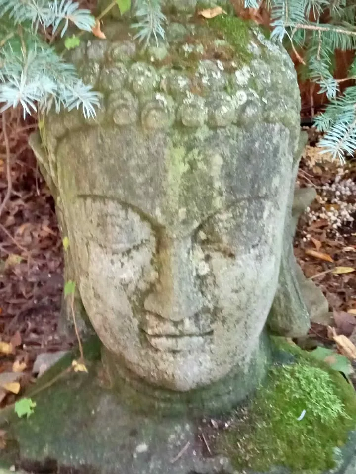 Stone Buddha Head thumbnail