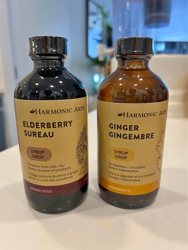 Organic Ginger Syrup 250 ml