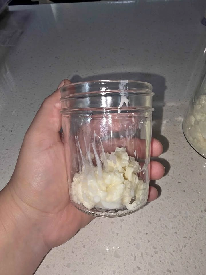 Milk Kefir Grains
