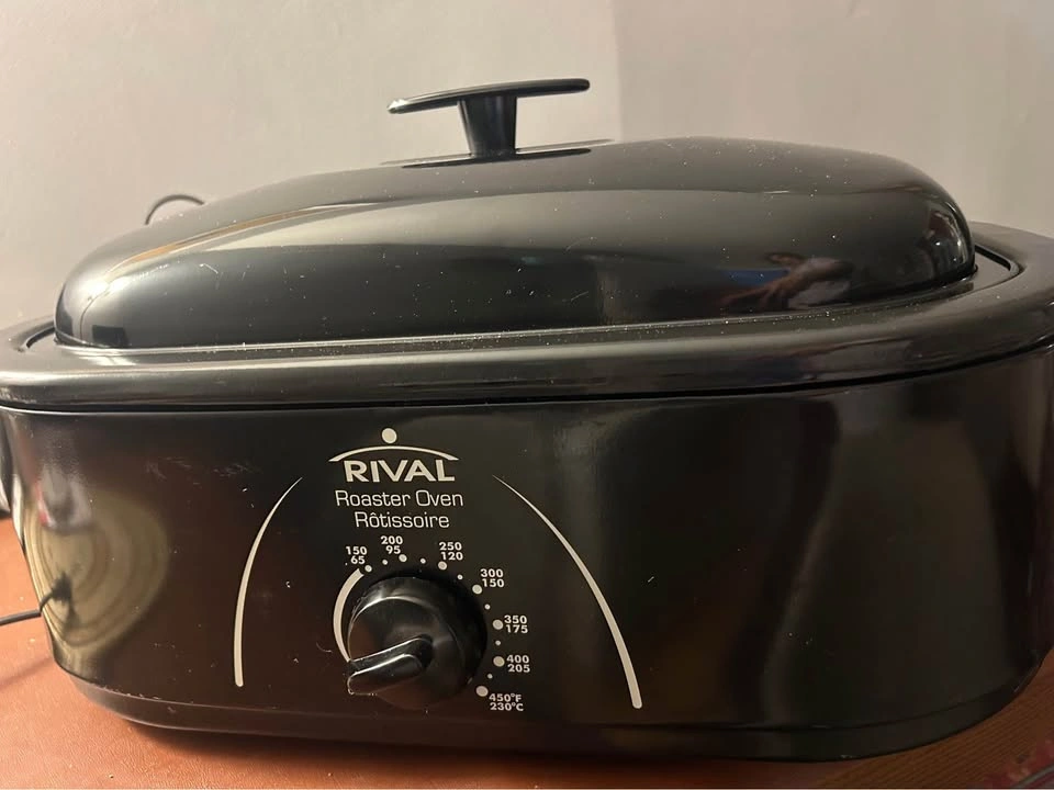 New Electric Roaster Oven - photo 2