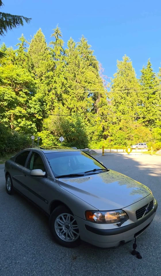 Window tint - photo 2