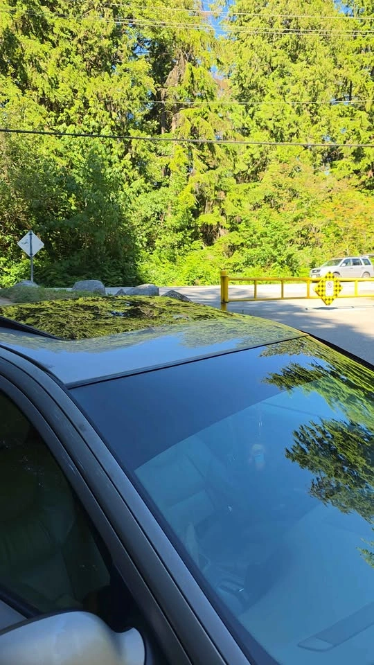 Window tint - photo 3