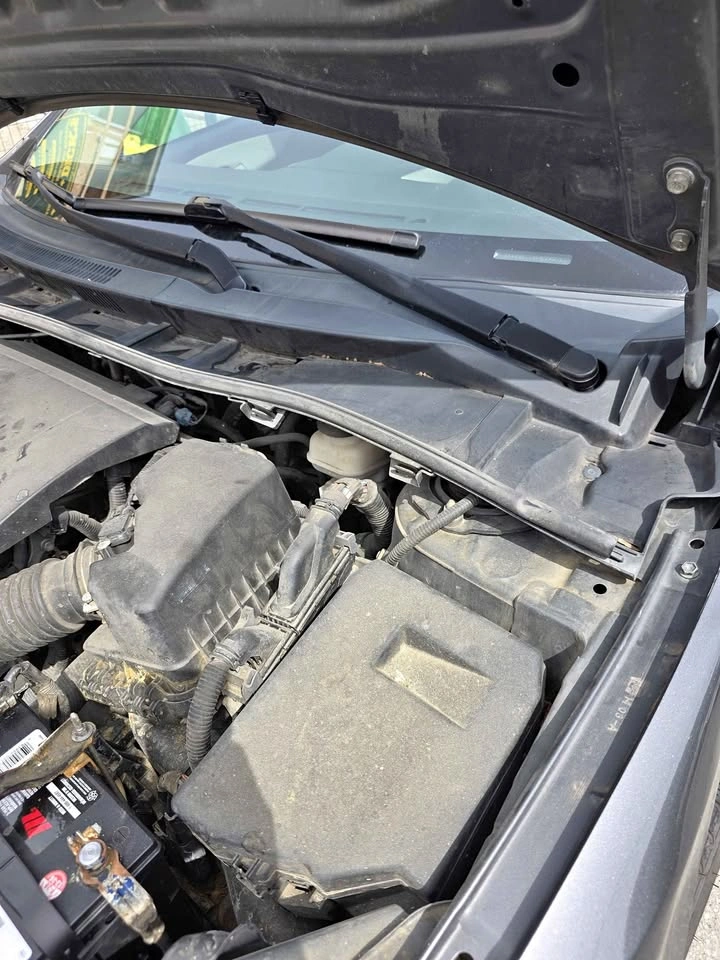 Engine bay detail