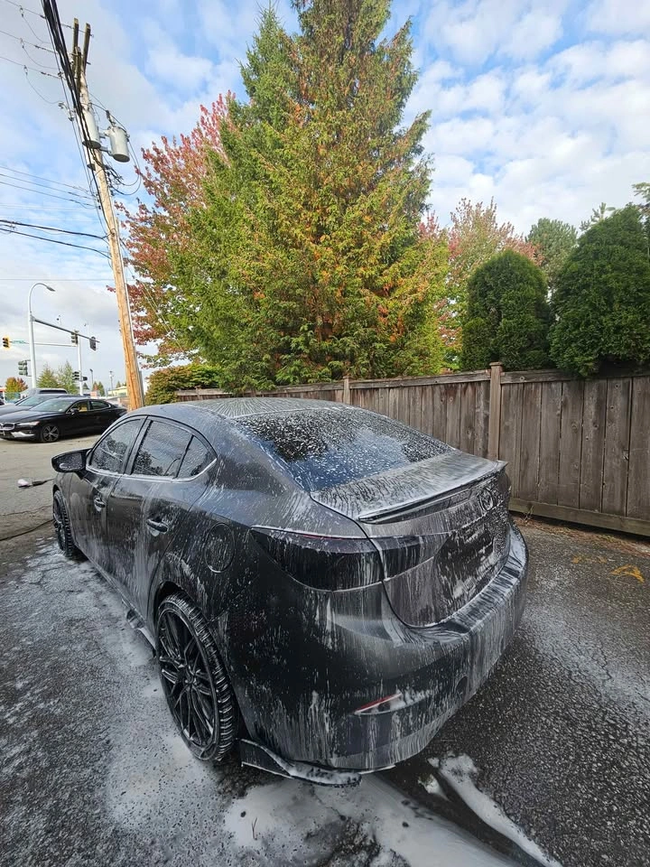 Mobile Car Detailing - photo 4