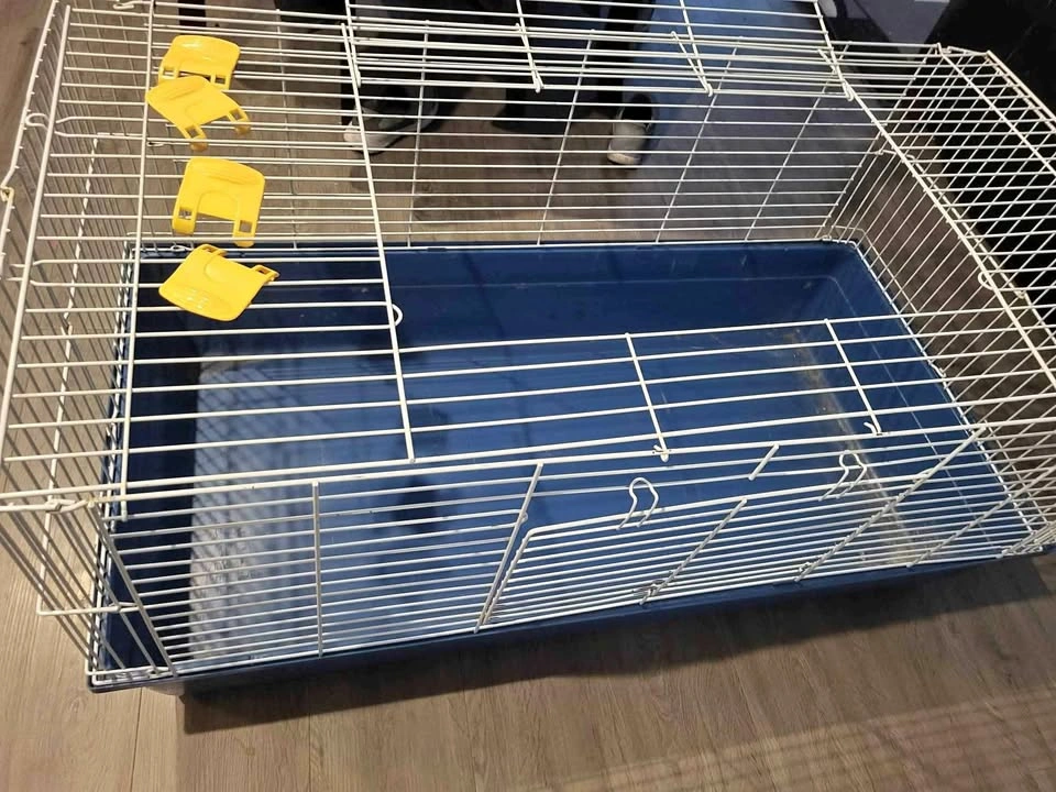 Large Animal cage (LWD): 47"x24"x21"