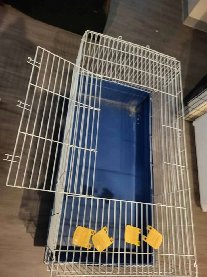 Large Animal cage (LWD): 47"x24"x21" - photo 2