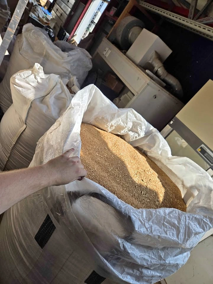 Tons of wheat berries
