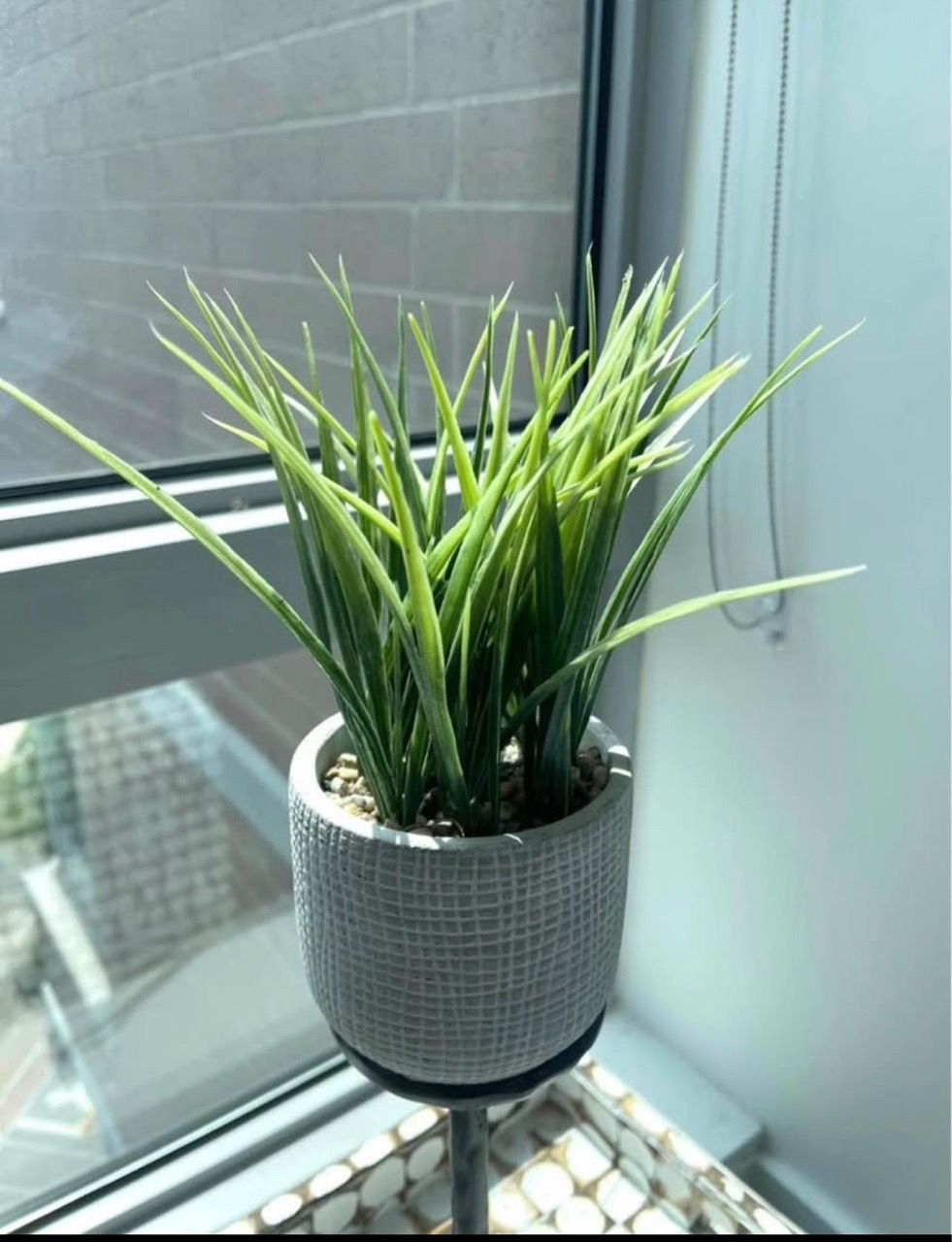Artificial Grass Plant in Textured Pot