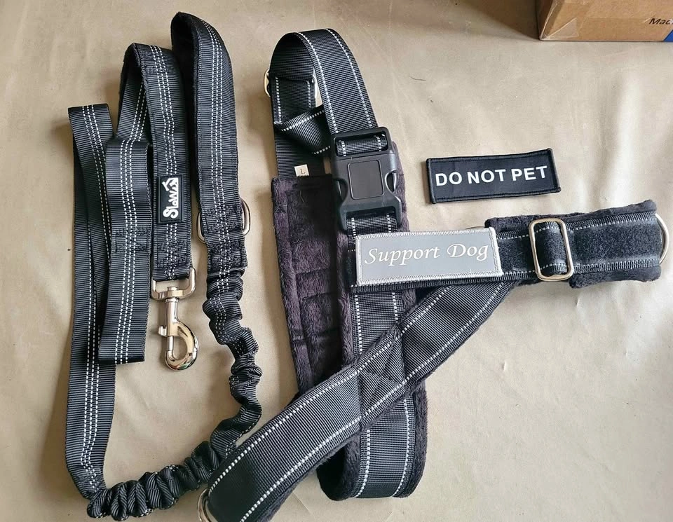 Tactical / Support Dog Harness and Leash Set, Large