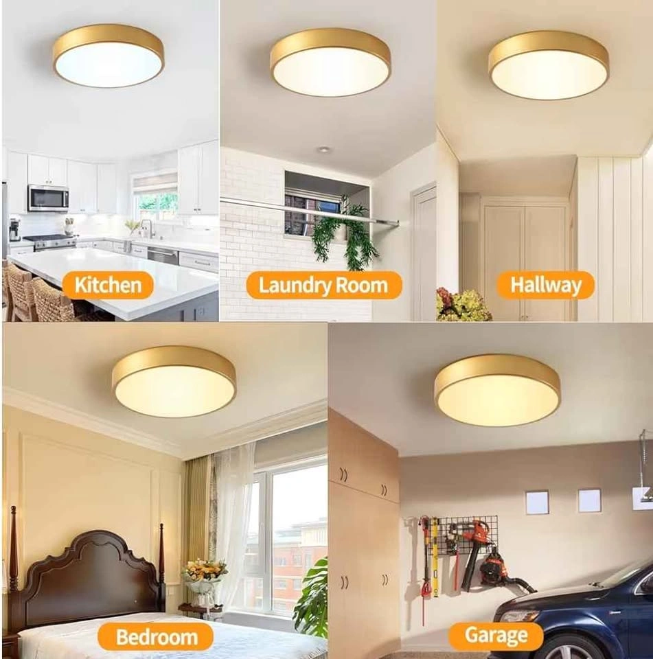 Gold LED Dimmable Ceiling Light 24W 5CCT(2700K-5000K) - photo 5