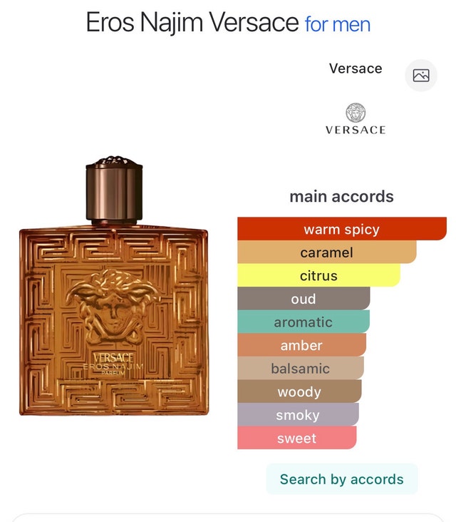 Versace Eros Najim Parfum - 100 mL - photo 4
