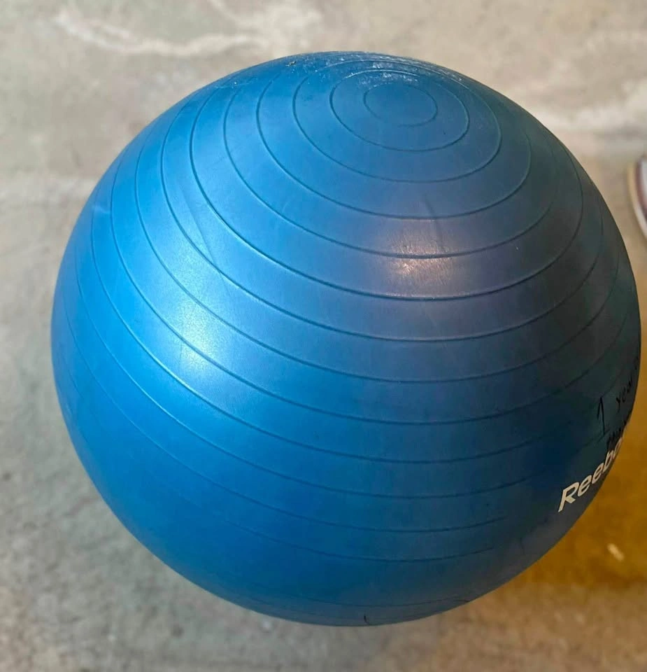 Reebok Exercise Ball