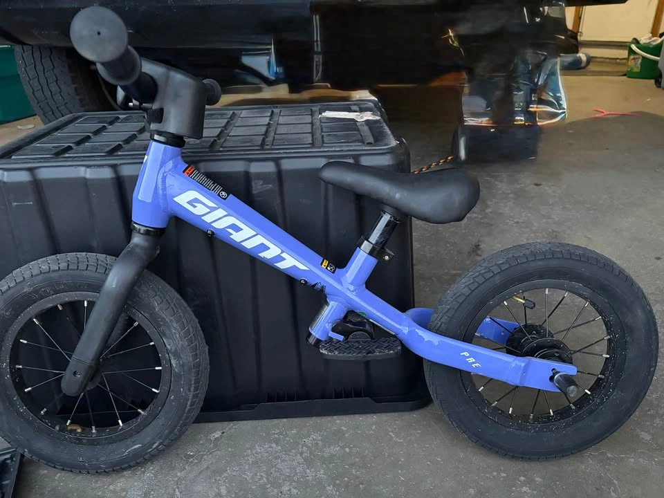 Giant Pre Balance Bike – Barely Used! - photo 2