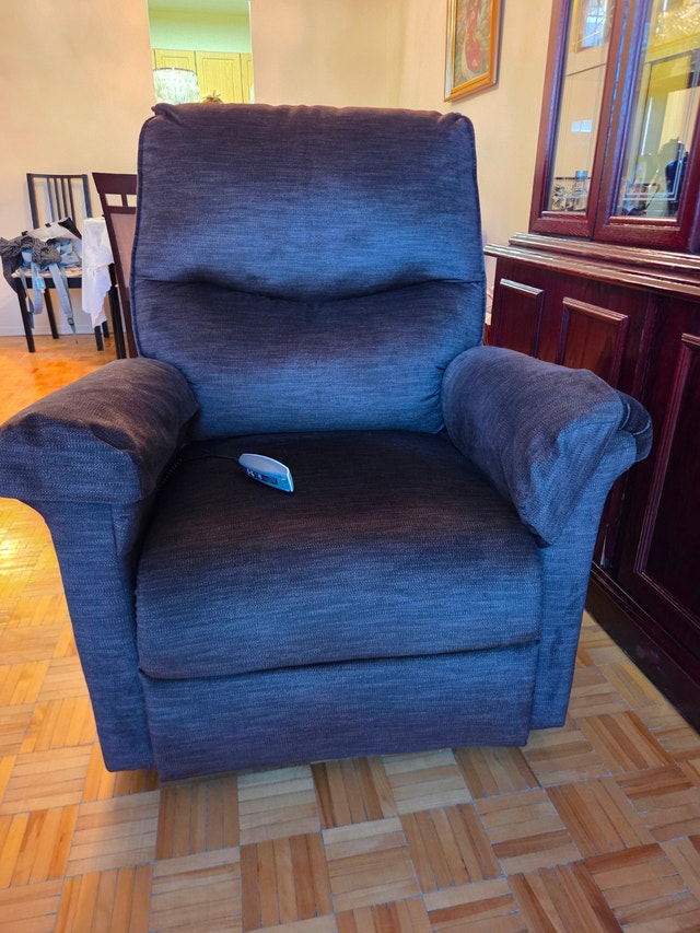 Power Recliner - Grey - Electric w/ Remote - from The Brick