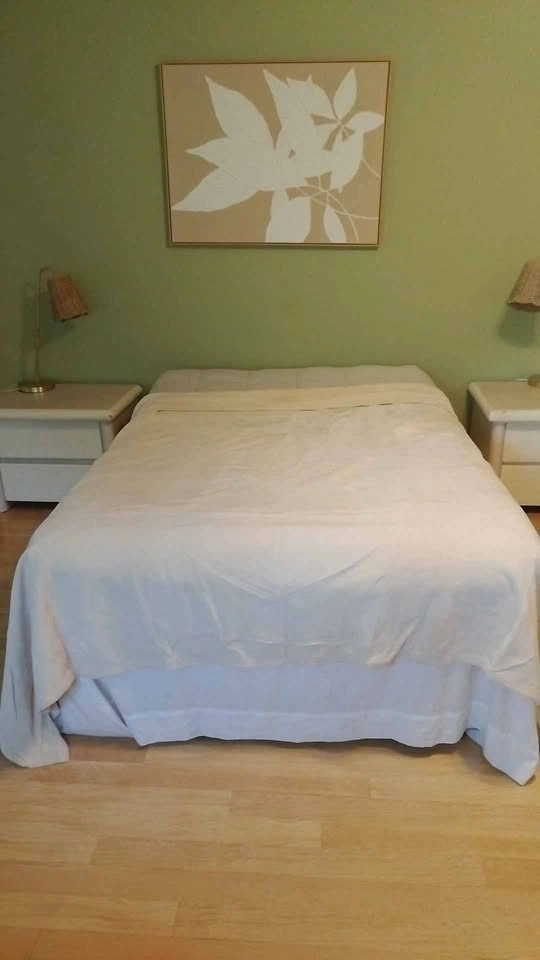 Martha Stewart Vellux Blanket - photo 3