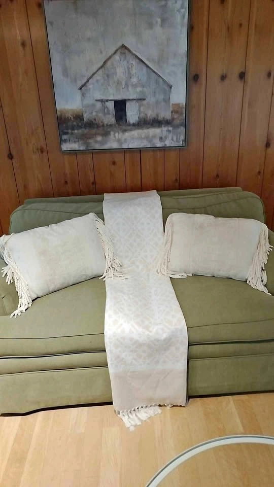 2 beautiful cushions