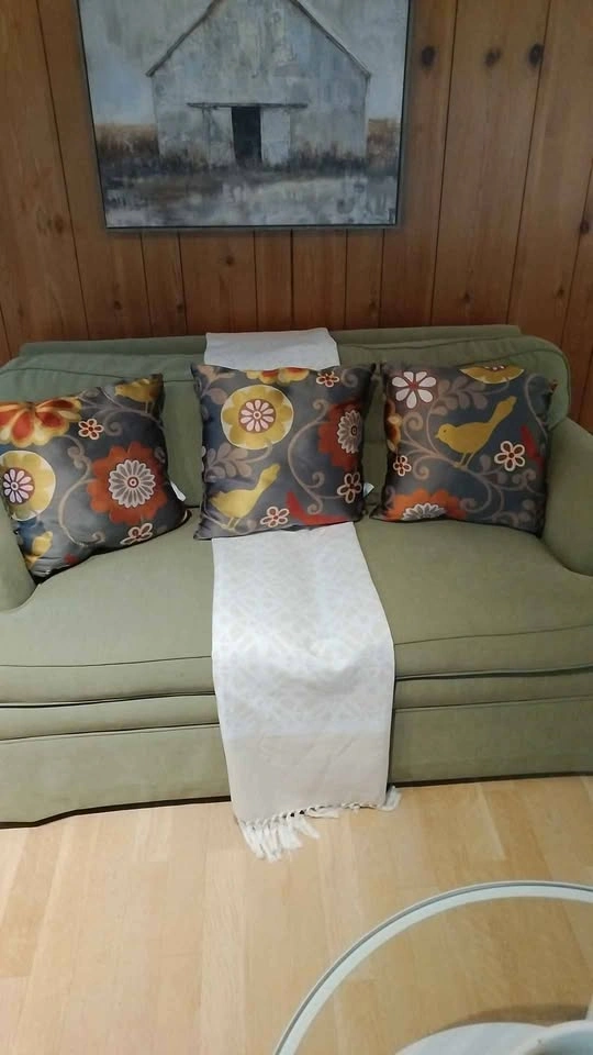 3 Beautiful Versatile Cushions - photo 2