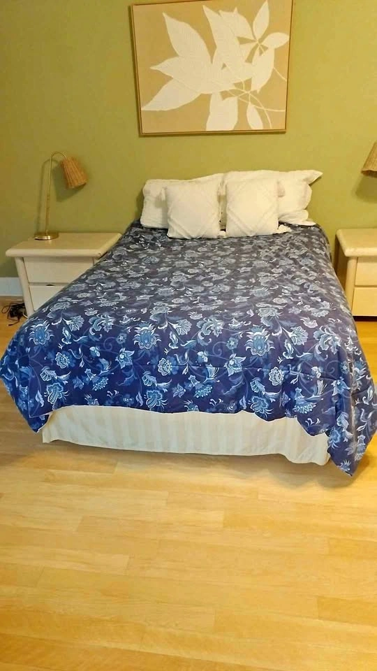 Blue floral Comforter for Full double bed