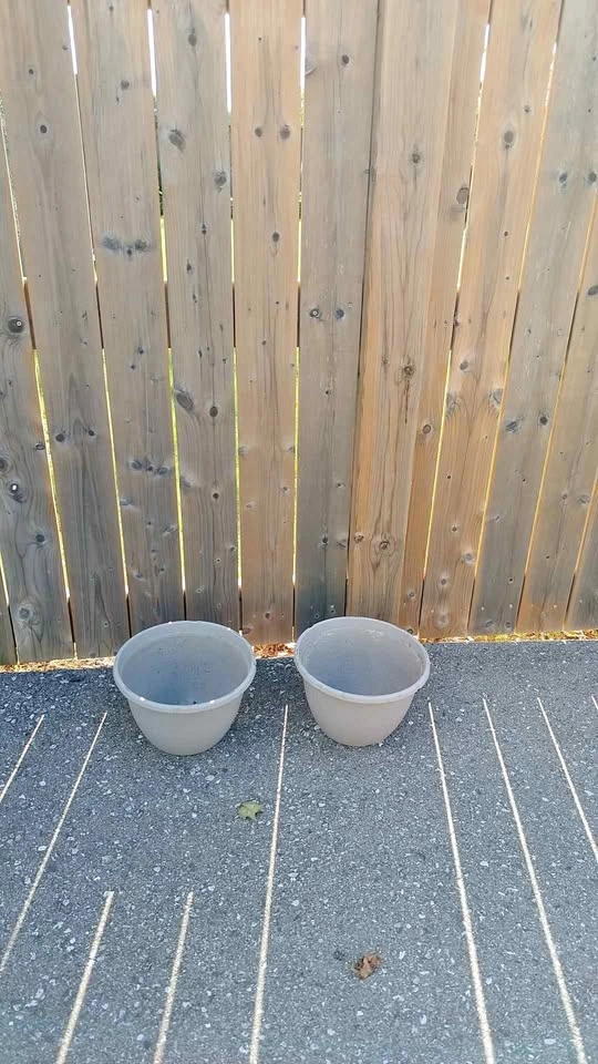 Hanging Basket Planter