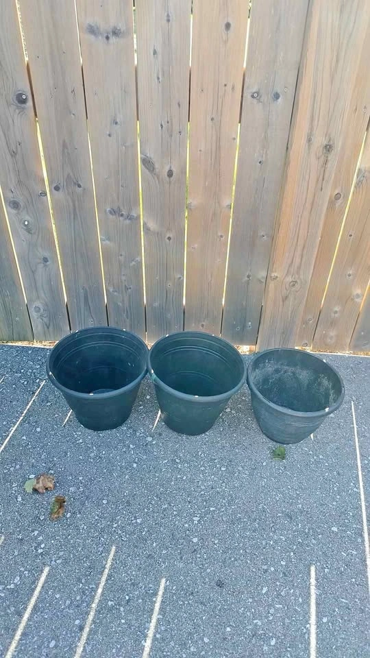 Black Planters