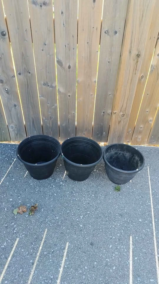 Black Planters - photo 2