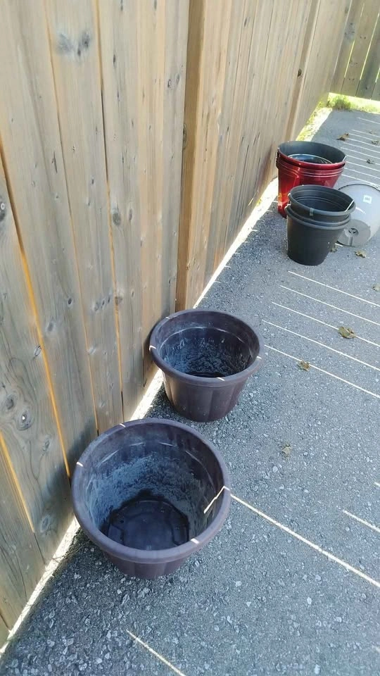 Decorative Planters 10" H - photo 2