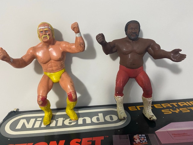Jay dog and Hulk Hogan