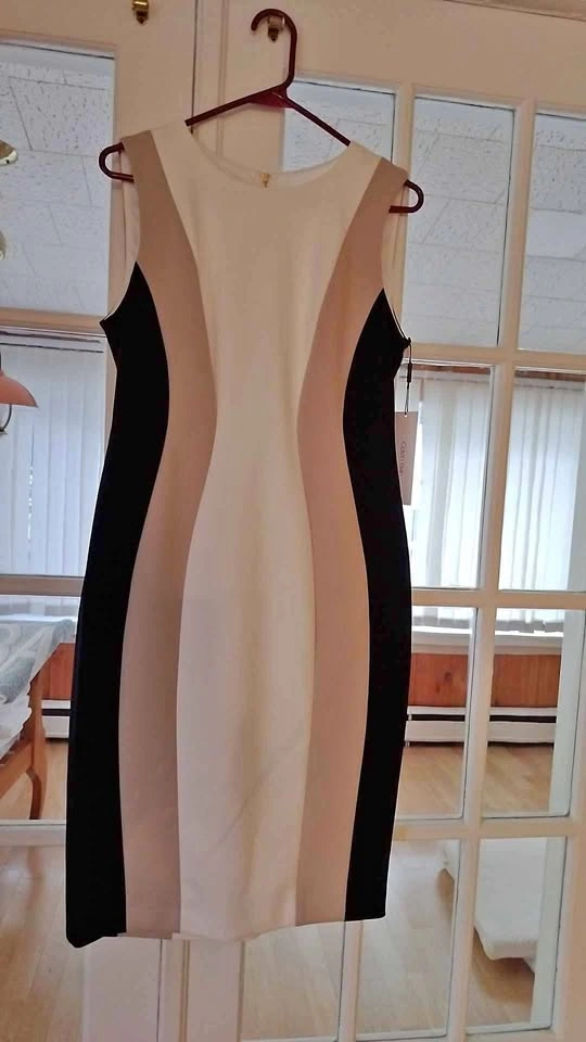 New Calvin Klein Colorblock Sheath Dress size 10