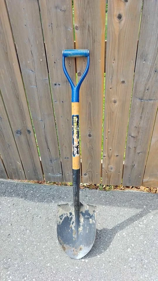 True Temper Contractor D-Handle Round Point Shovel