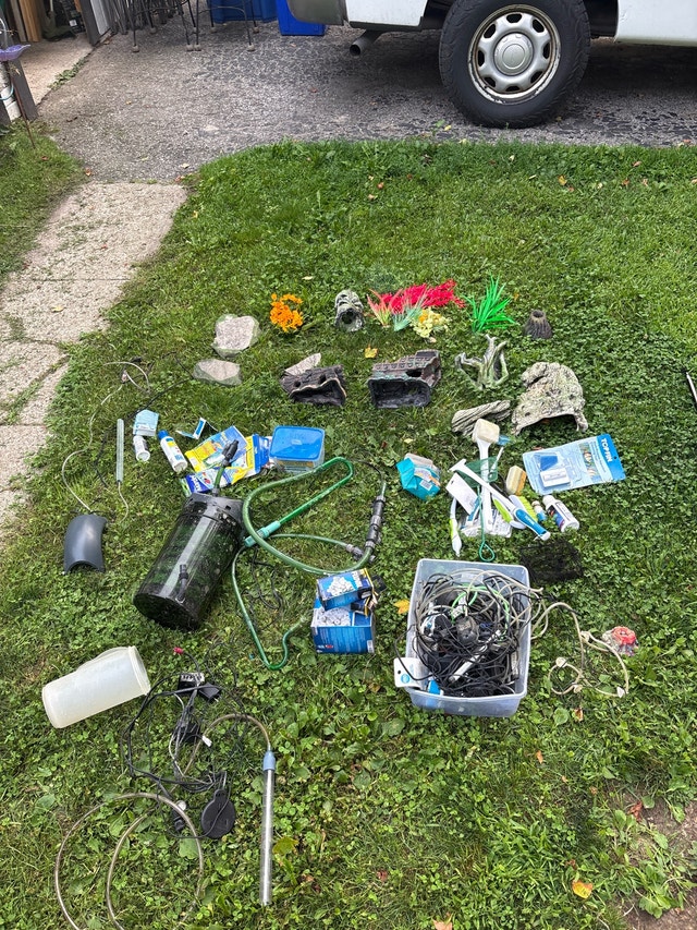 aquarium and accessories