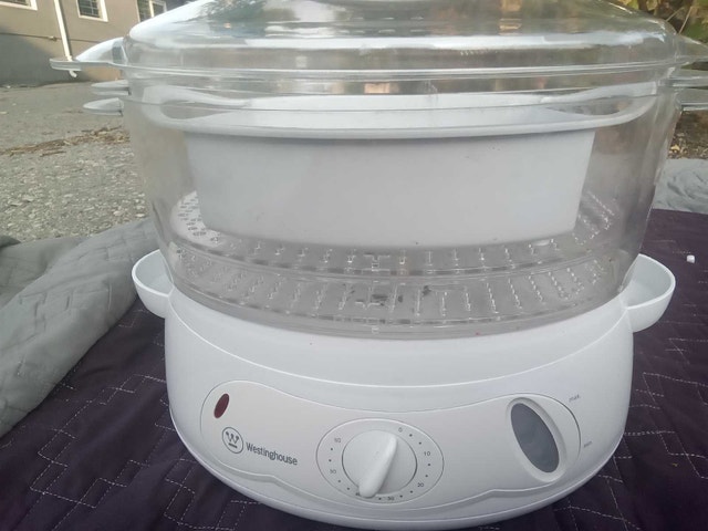 westinghouse food steamer